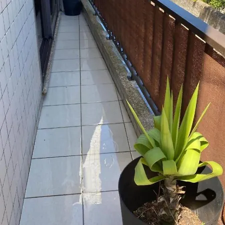 Duplex De Luxo Standing Bord De Avec Piscine Privee Chauffee Interieurs